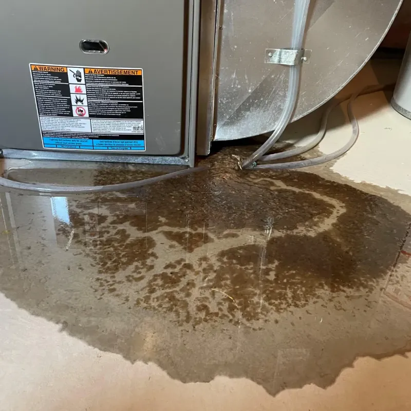 Appliance Leak Cleanup in High Point, NC