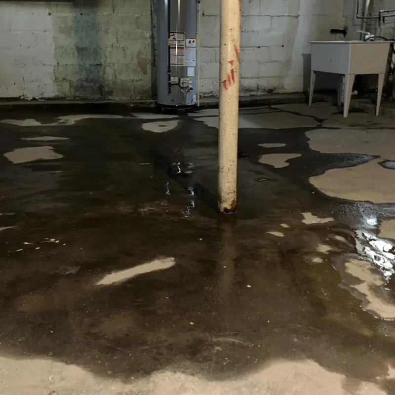 Emergency Water Extraction And Removal in High Point, NC